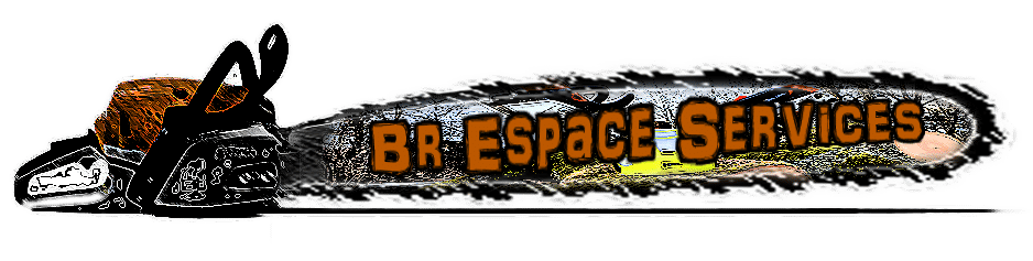 Logo Br Espace Services