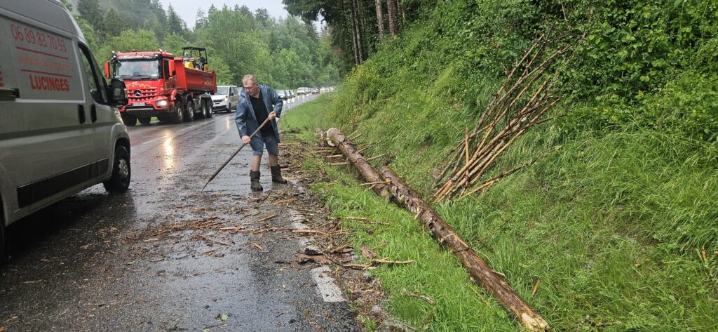 br espace services intervention urgence sapin mort