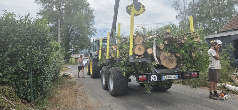 Remorque forestière chargée de grumes pour le transport de bois en Haute-Savoie